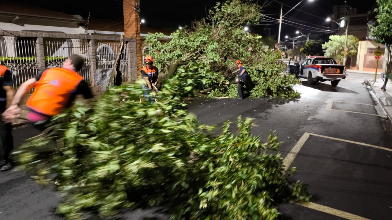Foto 46 de 67 — TEMPORAL EM FOTOS: veja imagens de destruição em Araraquara